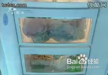 蔬菜保鲜的小窍门图解