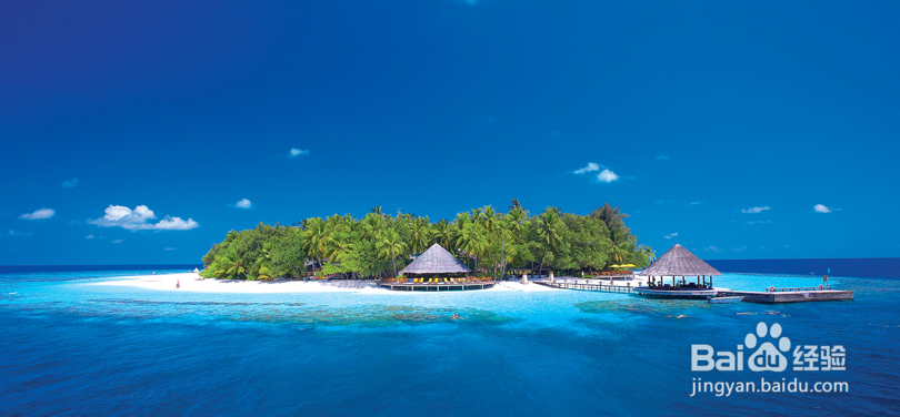 如何办理斐济旅游签证