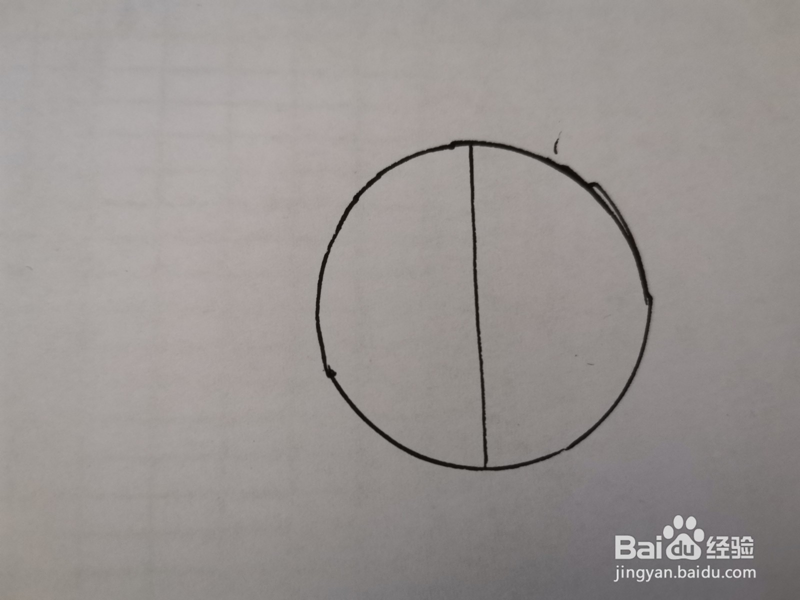 圆形的简笔画:七星瓢虫