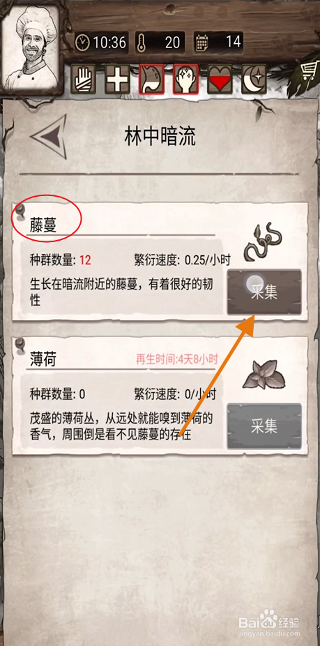 《荒岛日记孤岛》怎么采集藤蔓