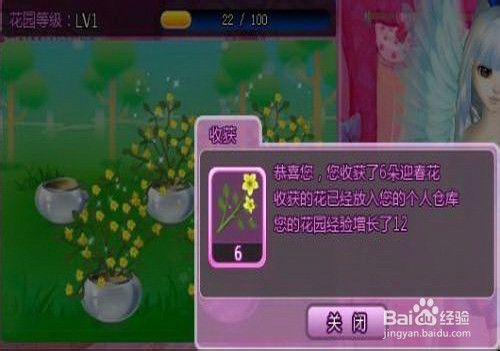 炫舞怎么升级最快