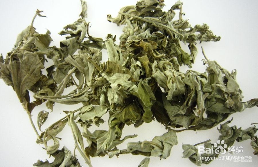 夏季怎么驱蚊呢