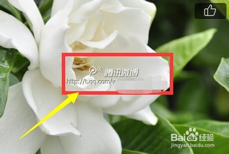 腾讯微博如何安排水印位置