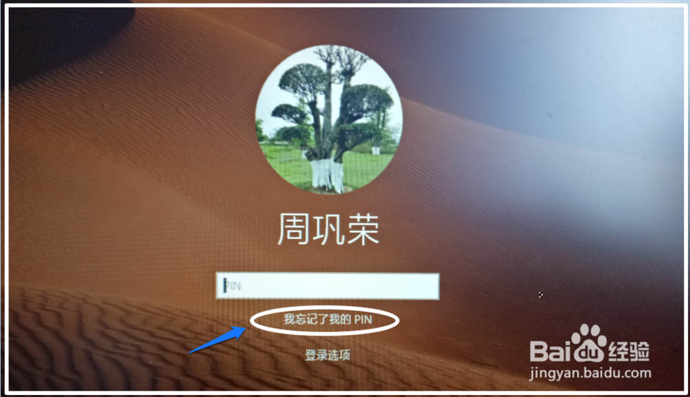 Windows10系统电脑忘记登录密码的解决方法