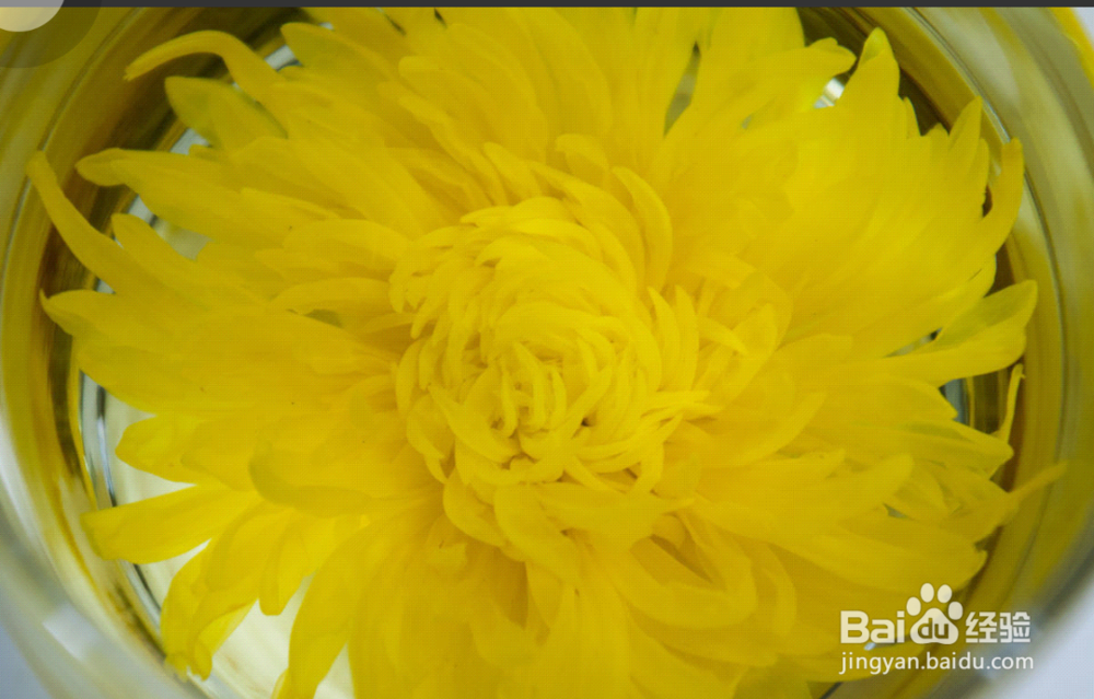 女人要怎么吃才可以抗皱纹？