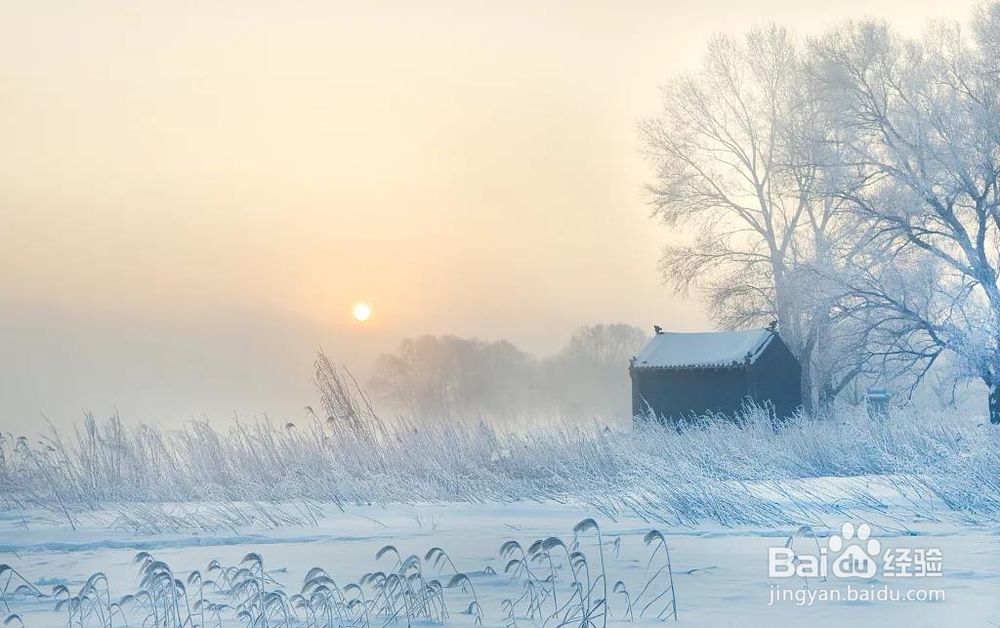 立冬——天气冷了给家人多一点“艾”