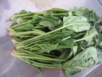 清炒波菜的做法