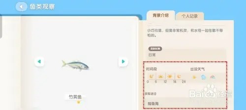 心动小镇如何钓到竹荚鱼