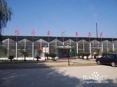 旅游时,值得去的地方2
