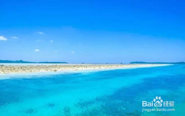 十一免签的高性价比海岛——帕劳旅游攻略