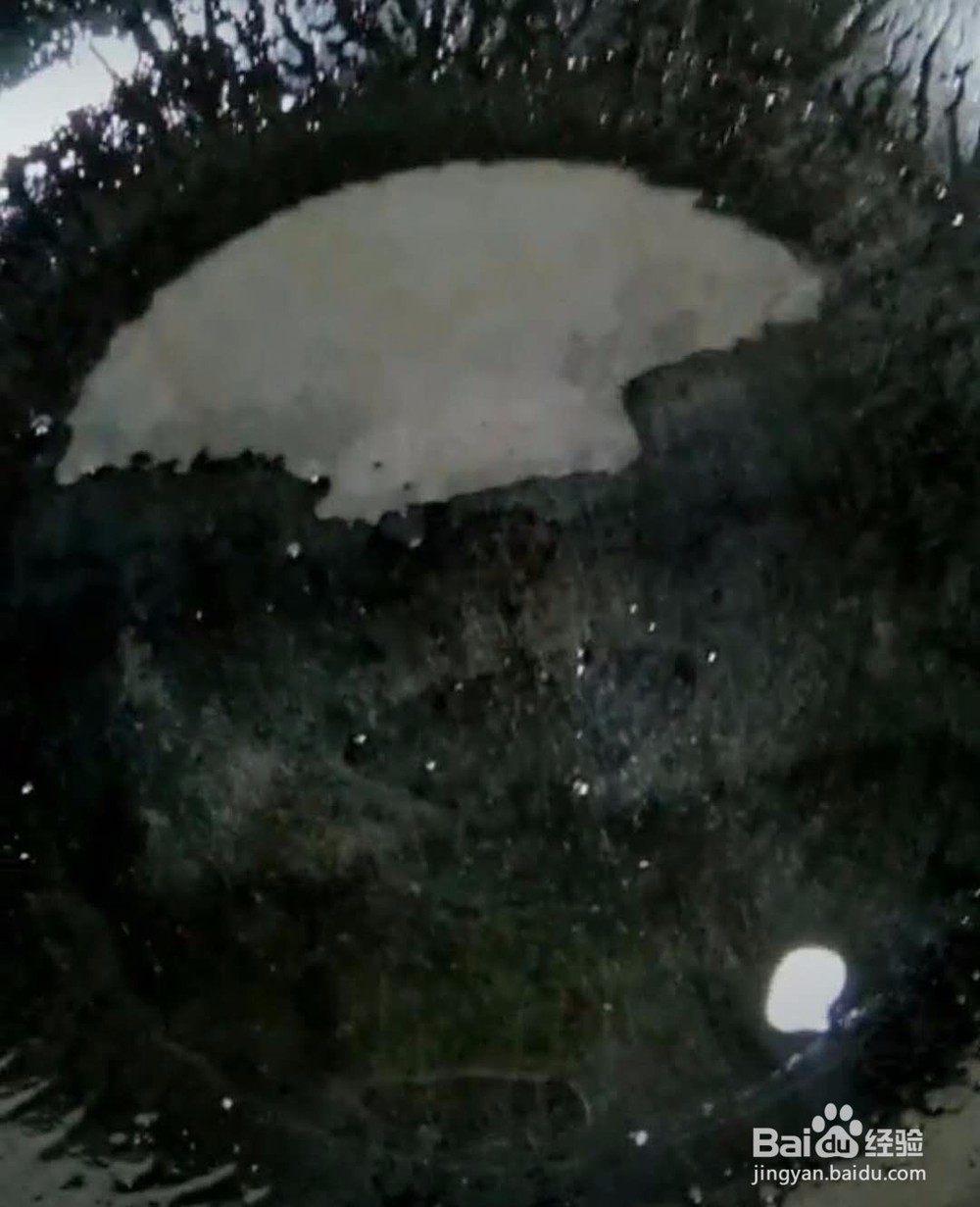 五香猪肉的做法