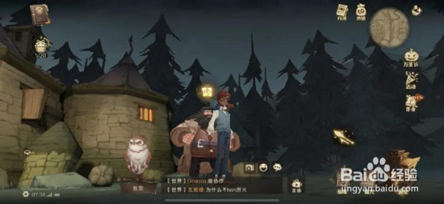 哈利波特魔法觉醒：11.8拼图碎片2位置攻略