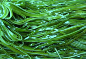 偏方治慢性咽炎