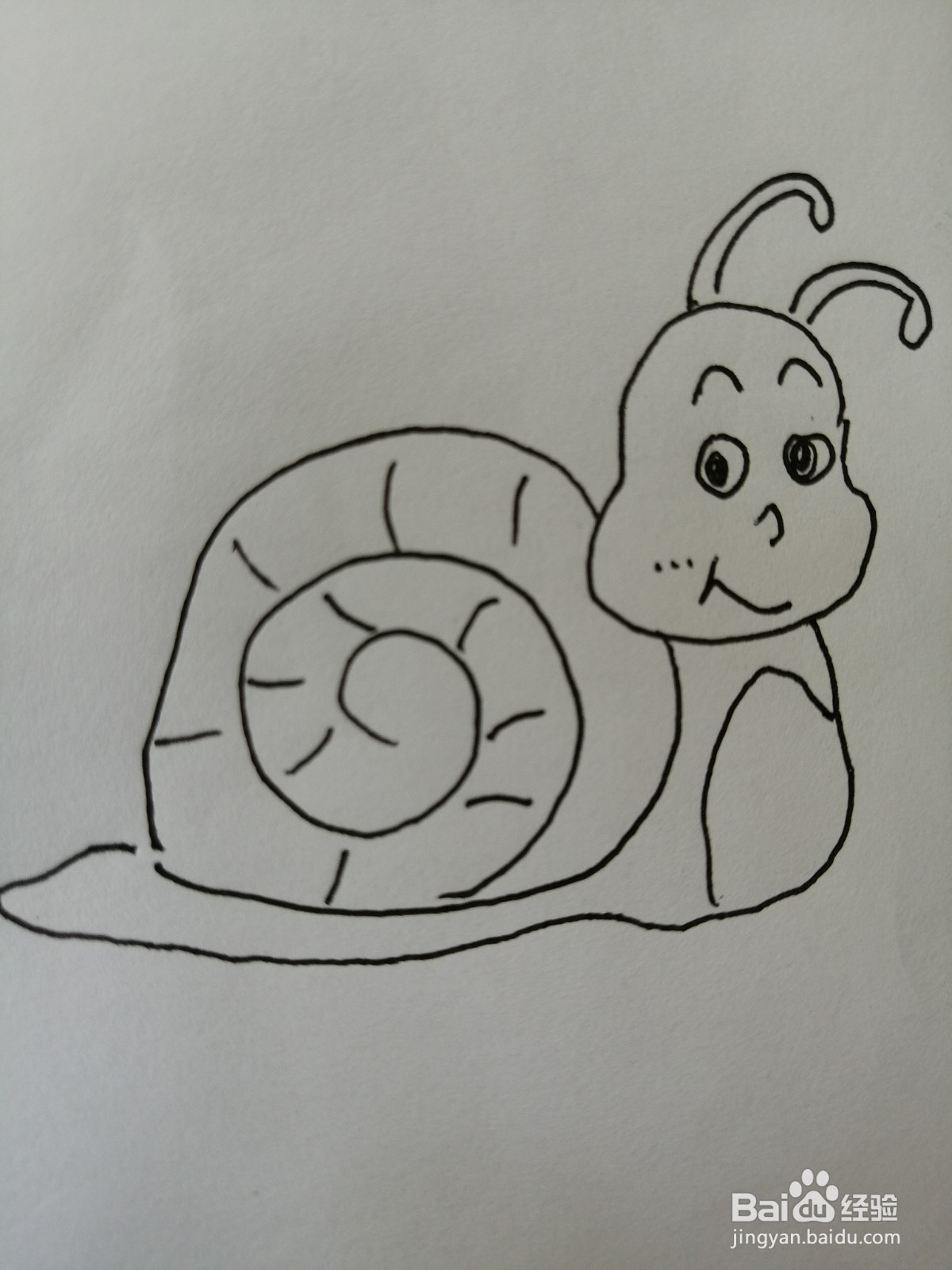 可爱的小蜗牛怎么画