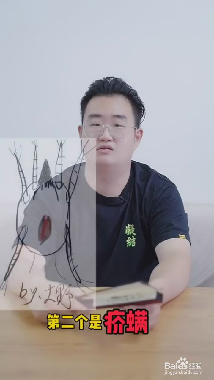 如何肉眼判断狗狗皮肤病