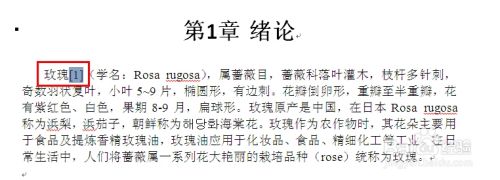 在word中如何自动生成参考文献引用 百度经验