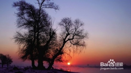 不同时段不同技巧拍雾凇仙境