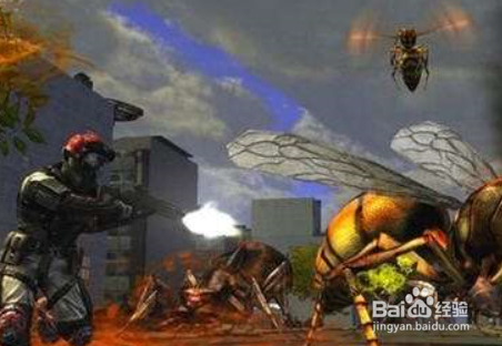 决战昆虫游戏攻略