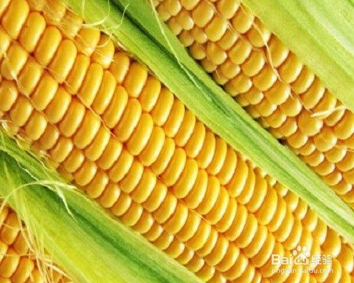 哪些食物可以对眼睛好