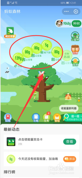 支付宝蚂蚁森林怎么收取能量