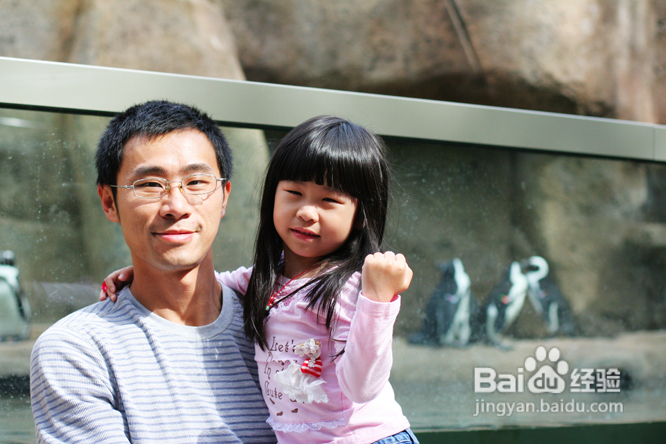 温哥华水族馆:水中舞动的精灵们