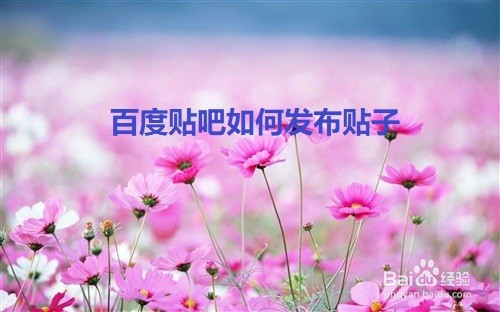 百度贴吧如何发布贴子