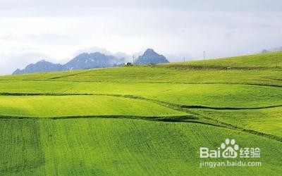 集体建设用地使用权流转
