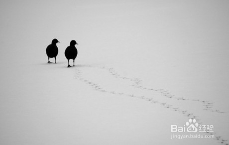 怎么接近你爱慕女生的朋友圈