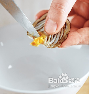 教你怎样拆螃蟹,做美味的蟹粉