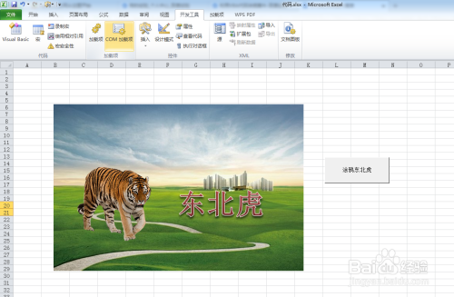 利用VBA代码涂鸦东北虎
