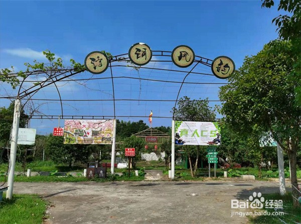 去长沙附近好玩的农家乐农的传人的几大理由