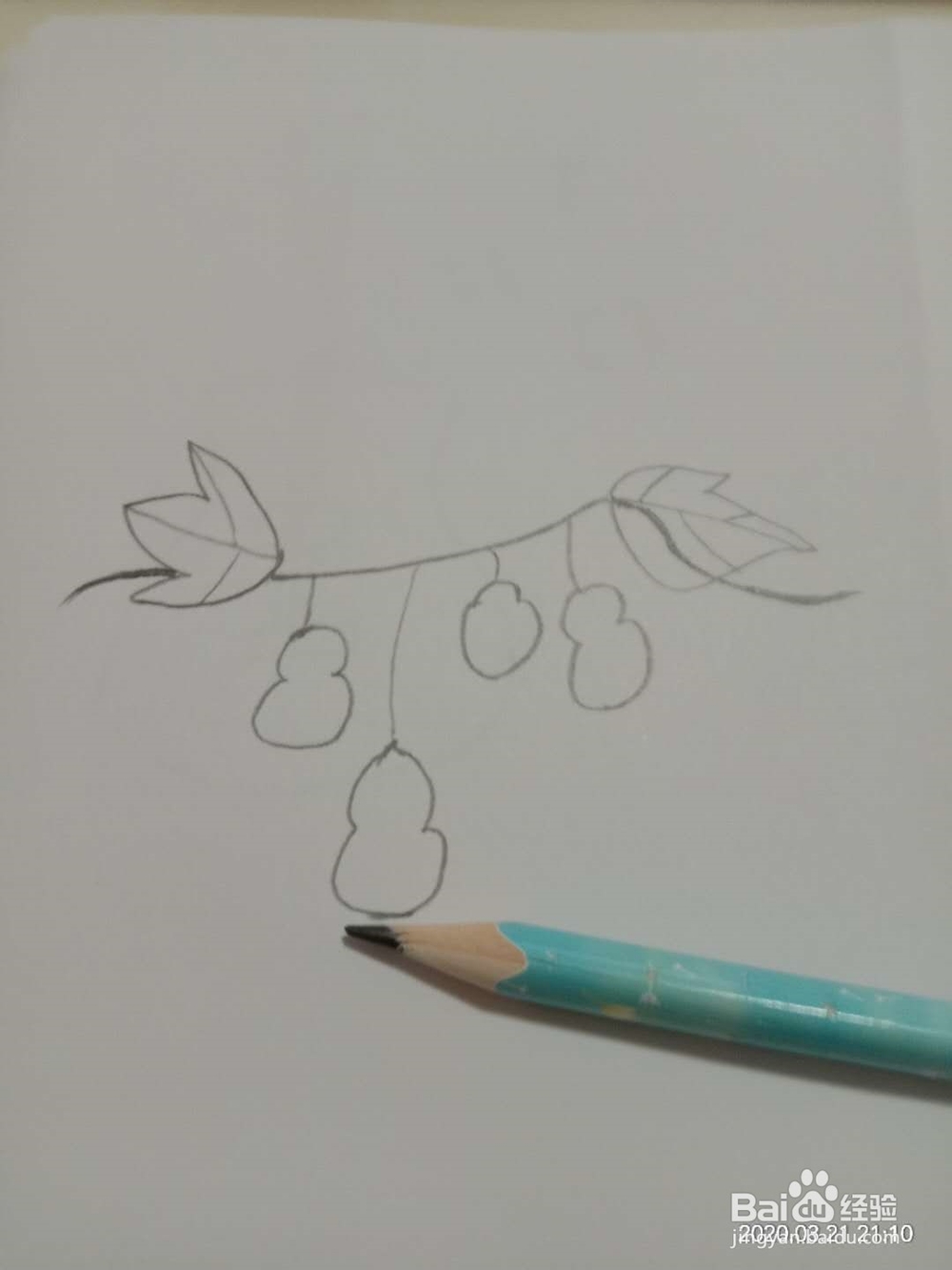 简笔画 如何画葫芦