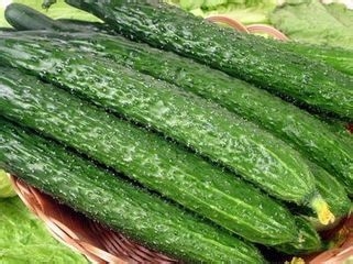 春季如何食疗养生