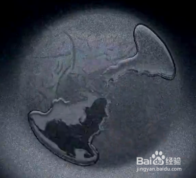 【剩米饭 】泡菜牛肉炒饭