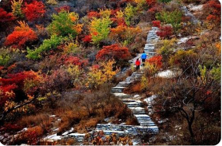 山行. (唐)杜牧 斜的读音是什么