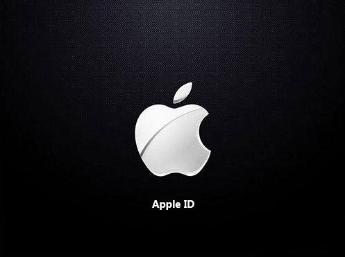 为什么我注册了APPLE ID还是登陆不上去,提示这个是什么意思