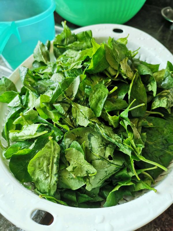 清肝明目枸杞菜汤