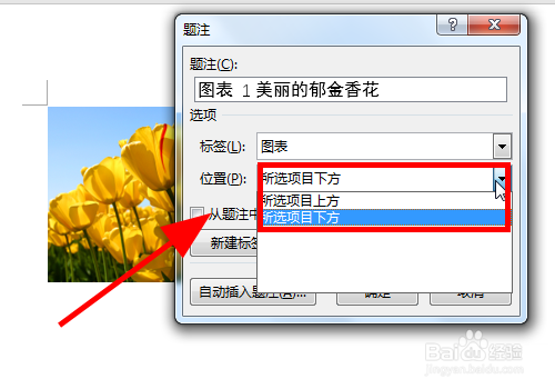 Word文档中怎么给图片添加标注注解信息
