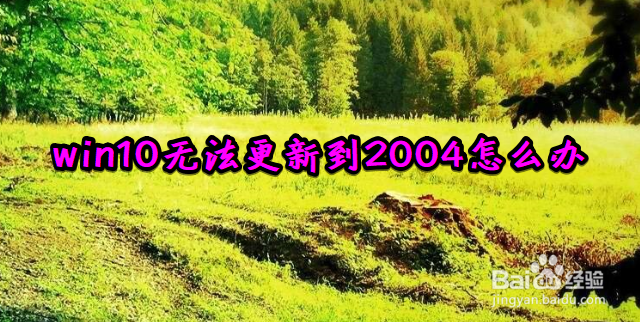 <b>win10无法更新到2004怎么办</b>