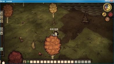 最自由的季节也不能自由！我来教你如何过好秋天