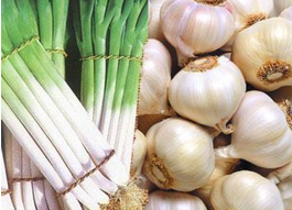 如何去除家中的苍蝇?