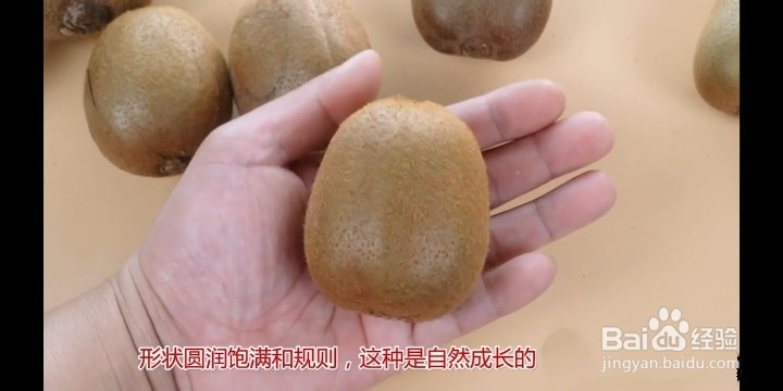 怎么挑选好吃的猕猴桃?