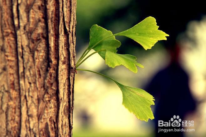 结婚前必须明白的六件事