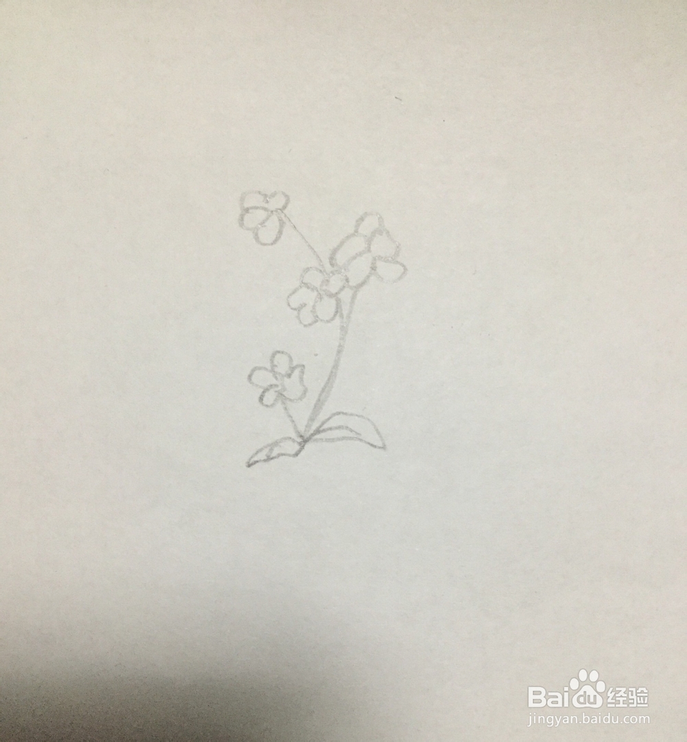 怎么画三聿花的简笔画