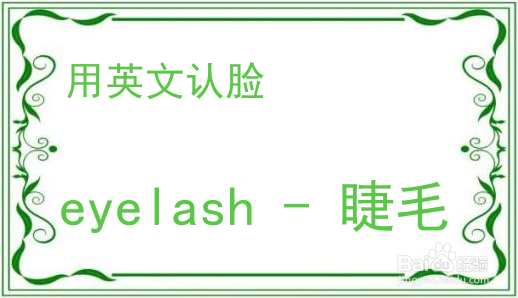 教你用英文认脸