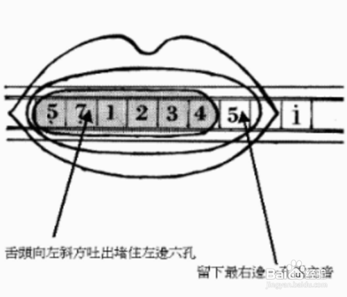 口琴舌头怎么放图解