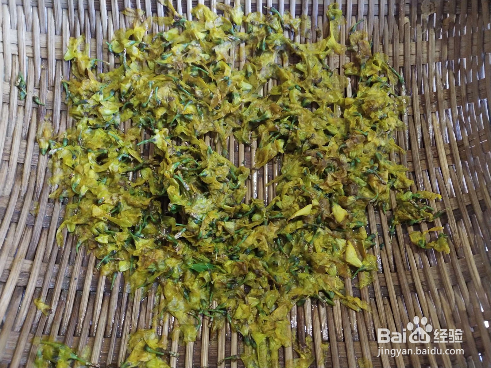 连翘花煎饼的做法