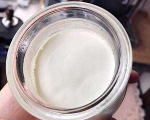 家庭自制酸奶