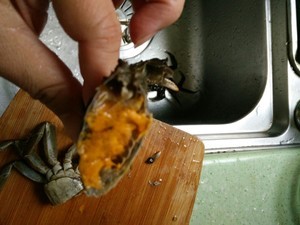 六月黄大闸蟹怎么做好吃什么牌子的六月黄好?