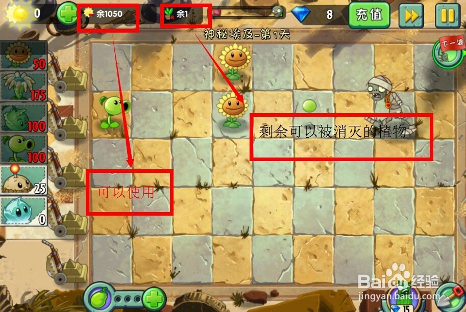 植物大战僵尸2:第1天第3颗星(神秘埃及)